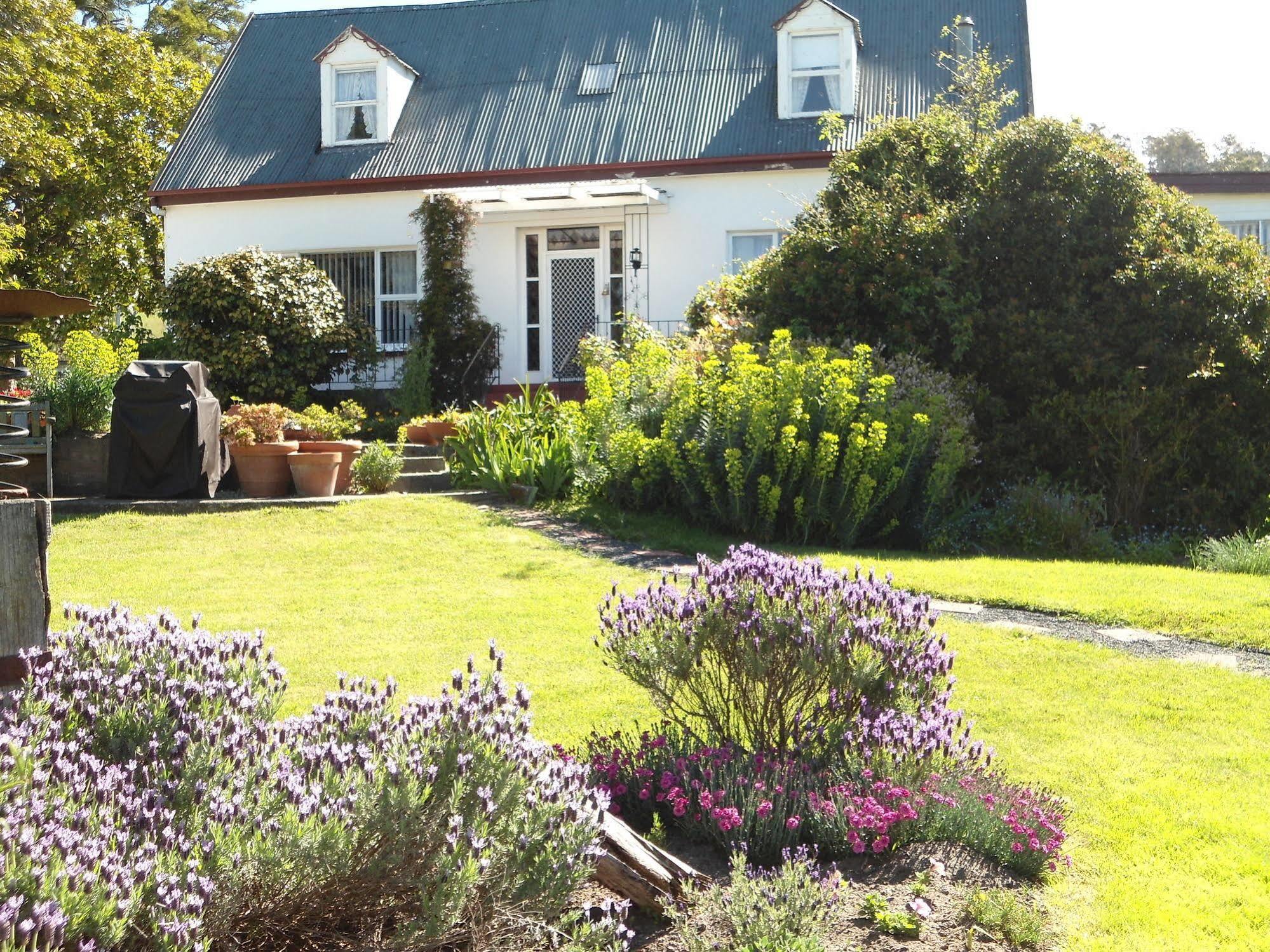 Roslyn House Bed & Breakfast Bushy Park Exterior photo